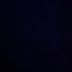 Meet your Posher, Frank